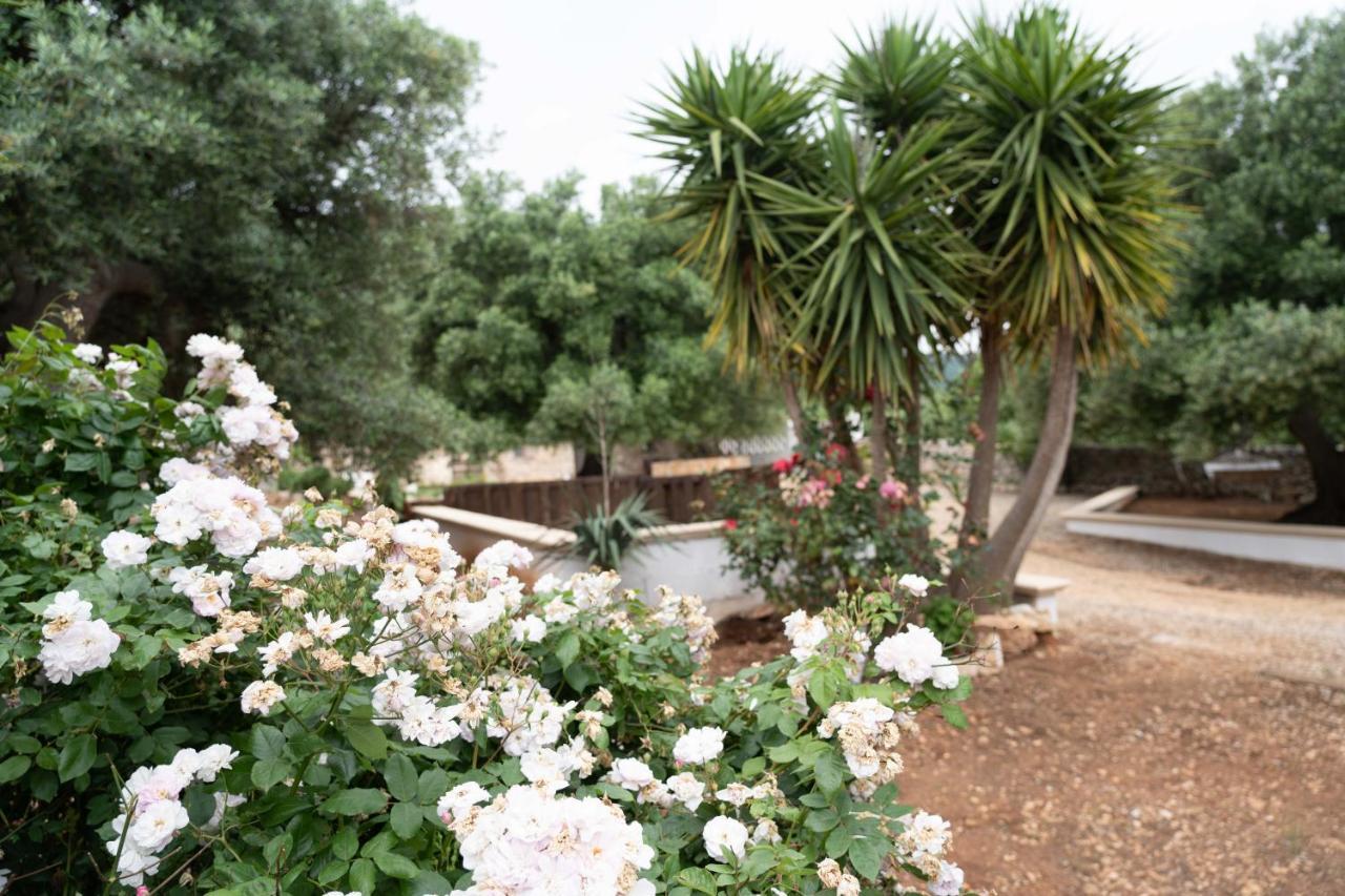 Hill Trull - Typical Apulian House Villa โมโนโปลี ภายนอก รูปภาพ